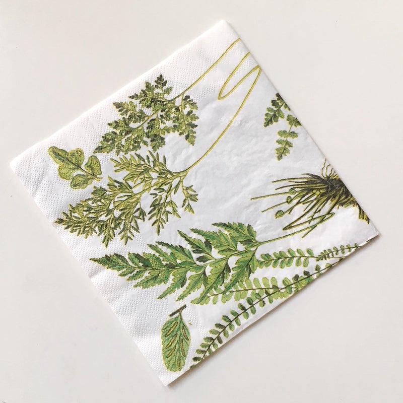 Zelten Colored Paper Napkins (Fern) - Image 4
